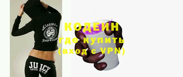 индика Бронницы